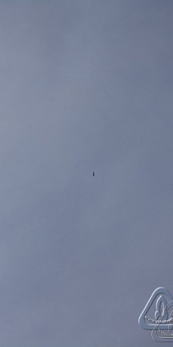 2012 Svojek mirek sobota